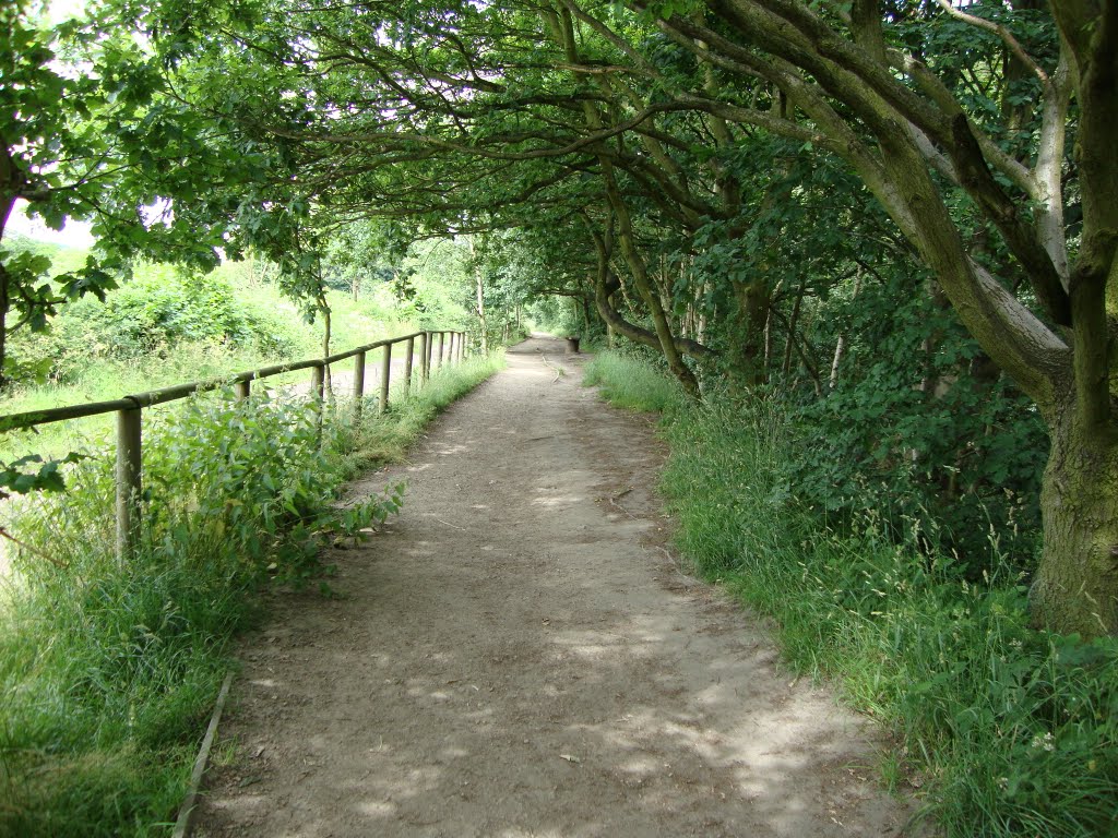 Oakwell Hall Country Park