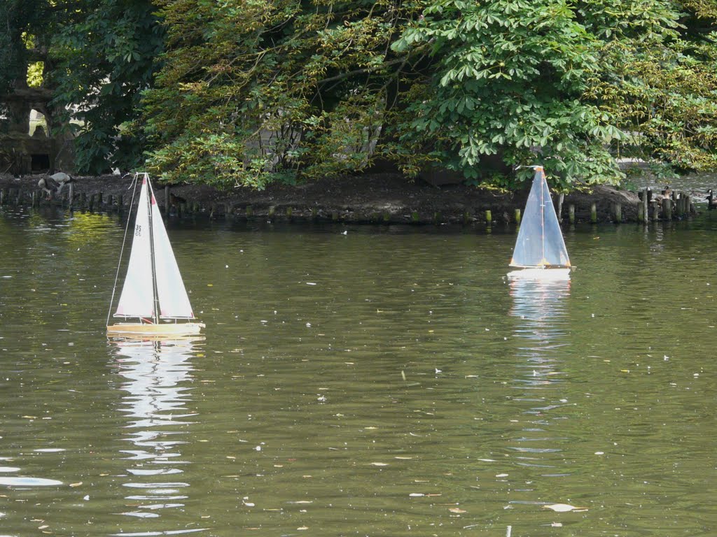 WILTON PARK  - VOILIERS