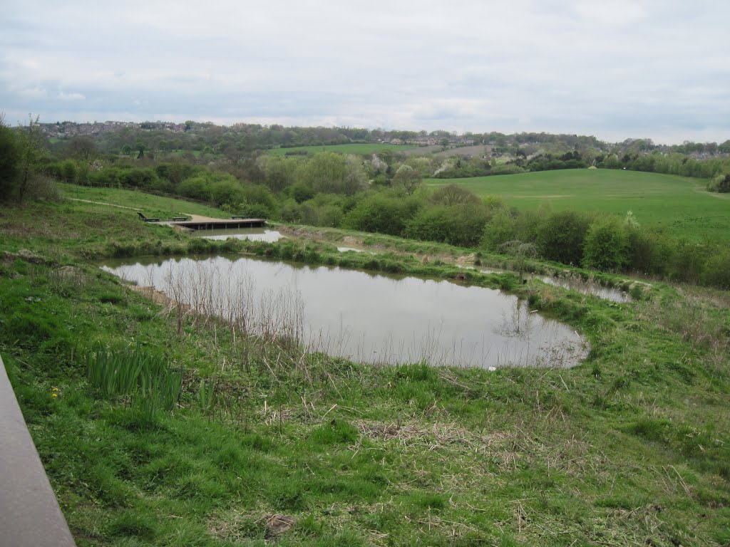 Pond, Oakwell Hall park April 2011