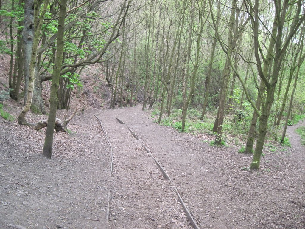 Woodland, Oakwell Hall park April 2011
