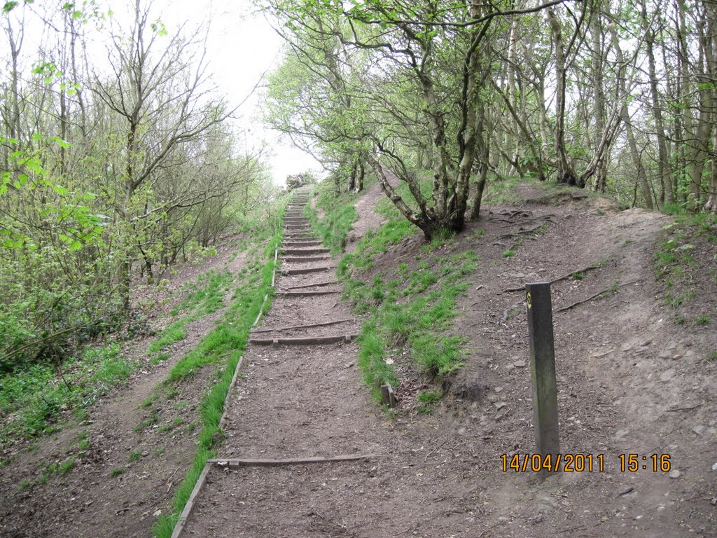 Stairway, Oakwell Hall park, April 2011