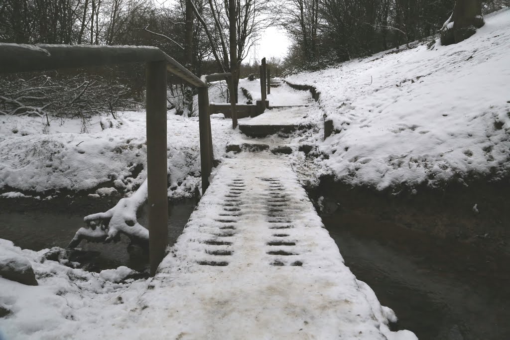 Bridges at Oakwell Hall Country park