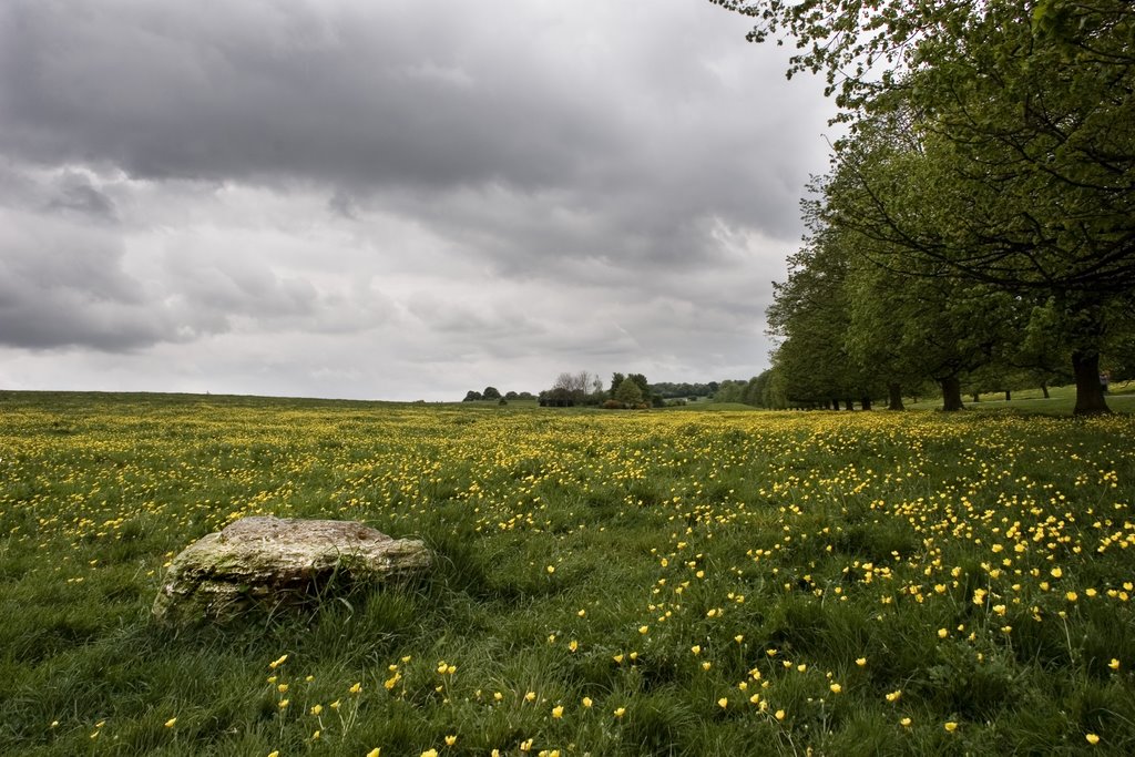 Beverley