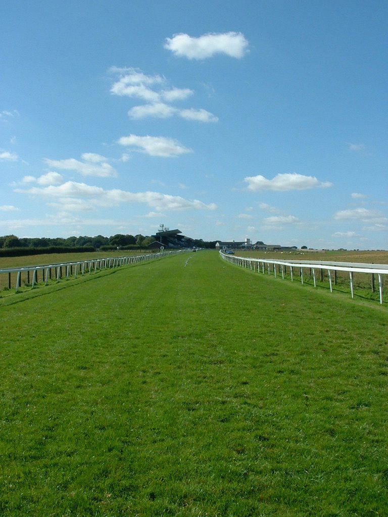 The final furlongs, Beverley racecourse, Westwood