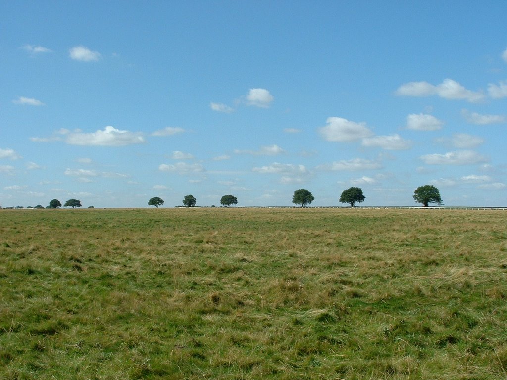 Beverley Racecourse