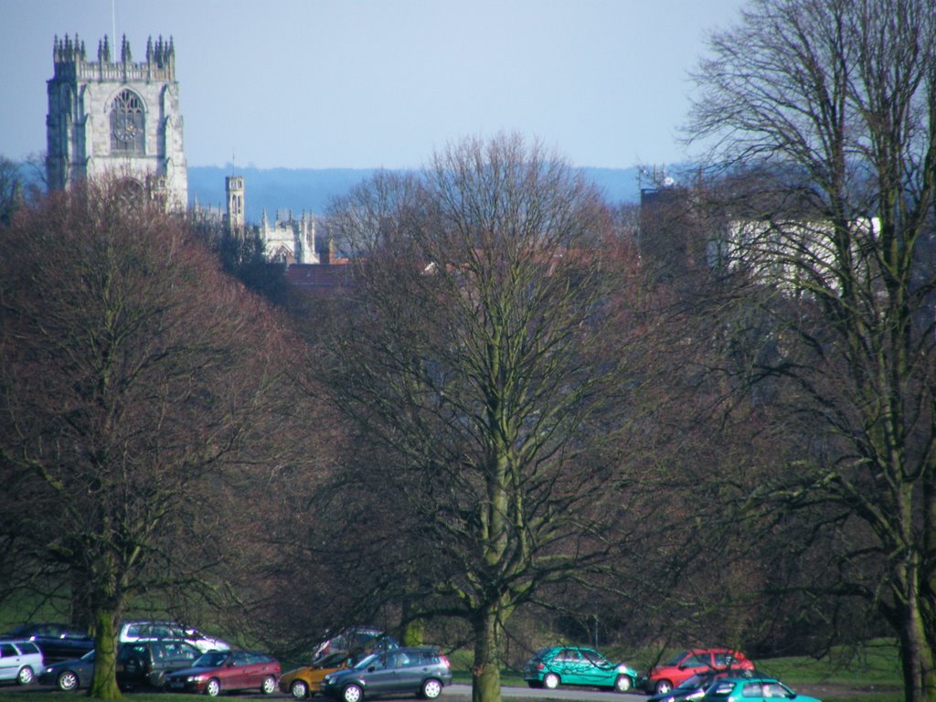 St Marys through trees, Beverley