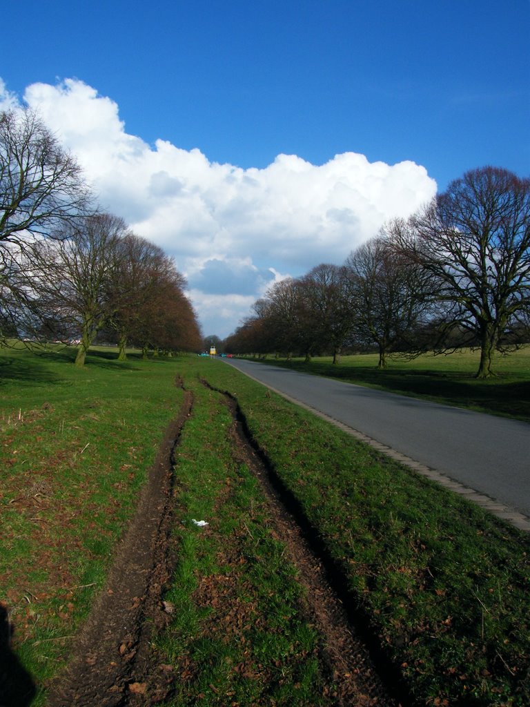 Beverley Westwood, Newbald Road.