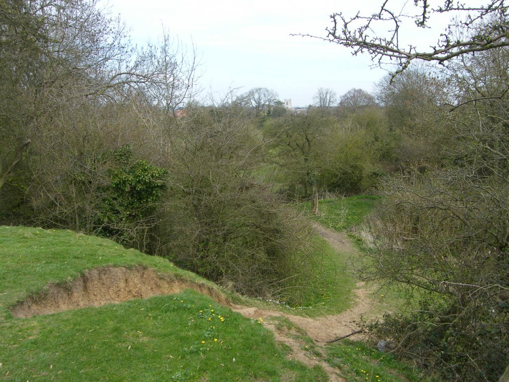 Erosion, Beverley Westwood