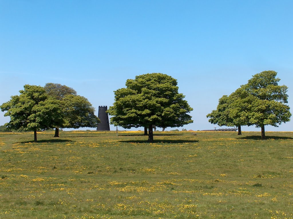 The Black Mill on Beverley Westwood