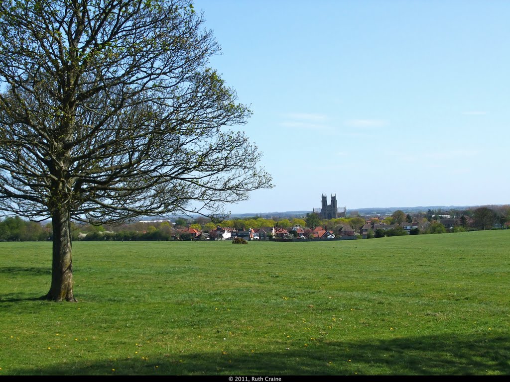 Beverley Minster from The Westwood Pasture, Beverely, East Yorkshire