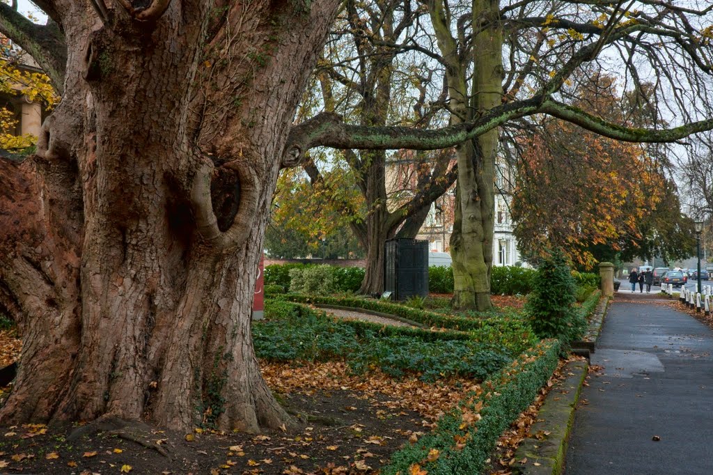 New Walk, Beverley