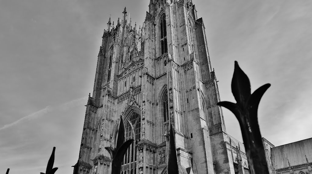 Beverley Minster 8