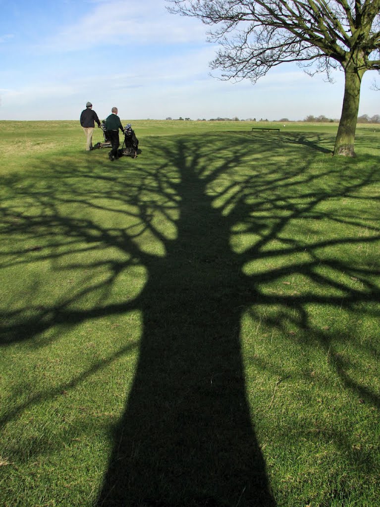 Beverley Westwood