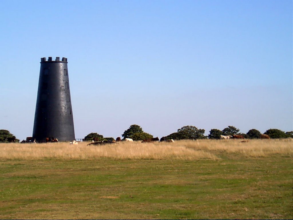 Windmill at Beverley Westwood