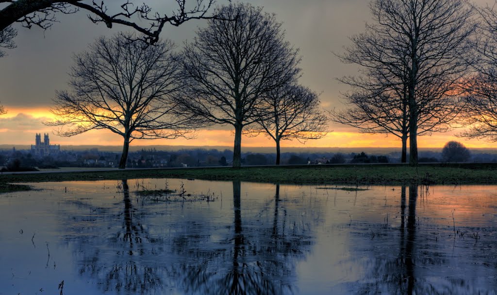 Beverley Westwood IMG_8194