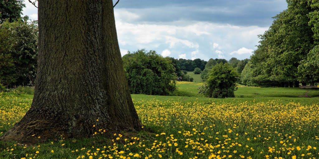 Beverley Westwood IMG_3661