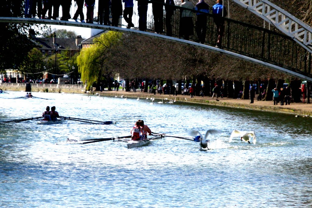 Head of the River April 2010
