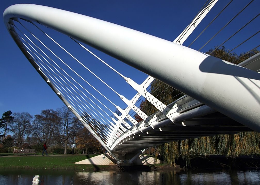 Butterfly Bridge