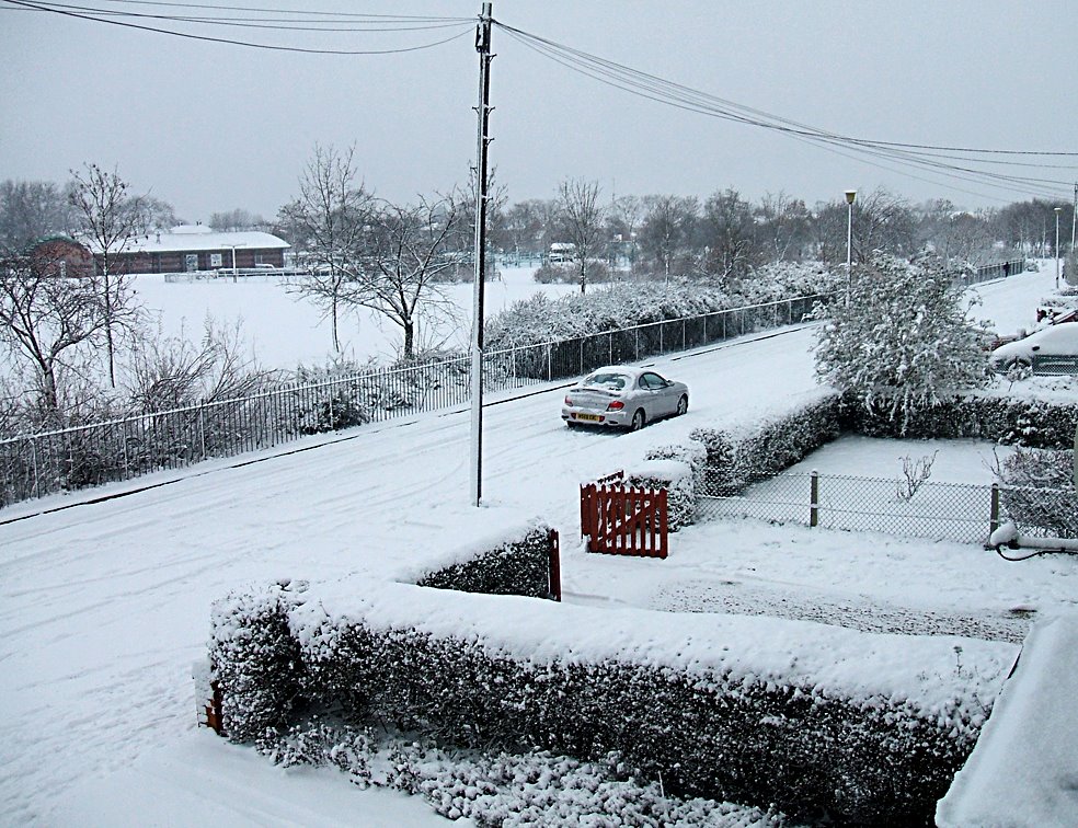 Snow in Moulton Avenue