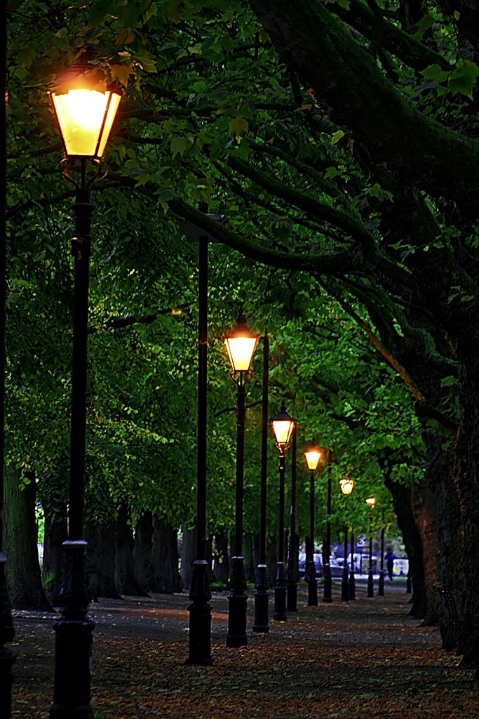 Night time Embankment
