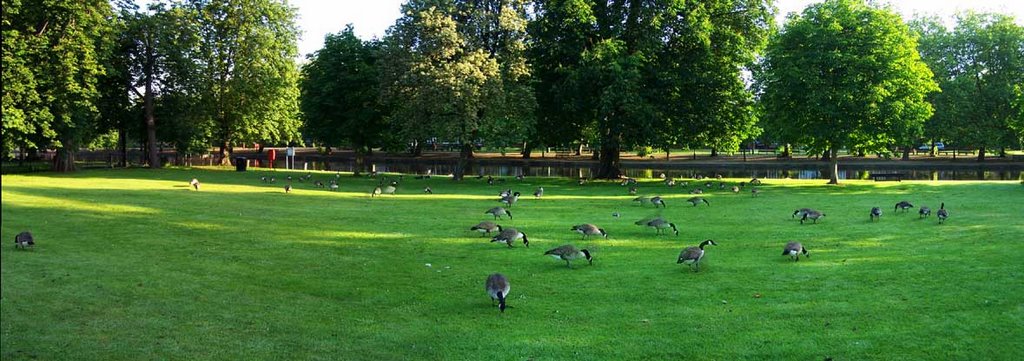 Embankment