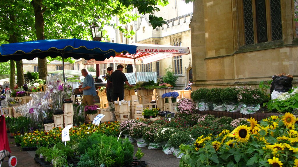 Beford Market