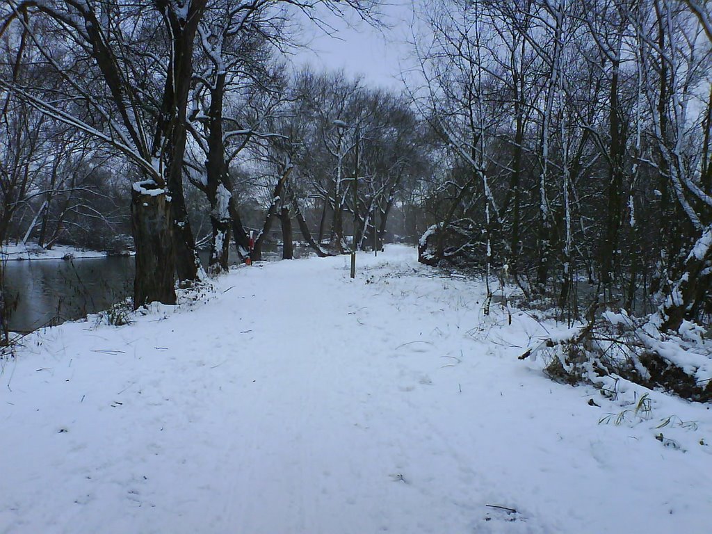 Snowy Path