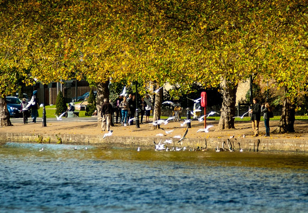 Bedford Embankment, Autumn