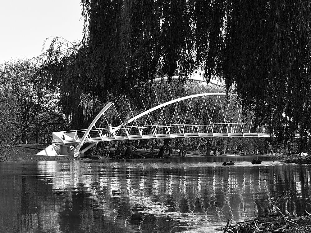 Butterfly Bridge