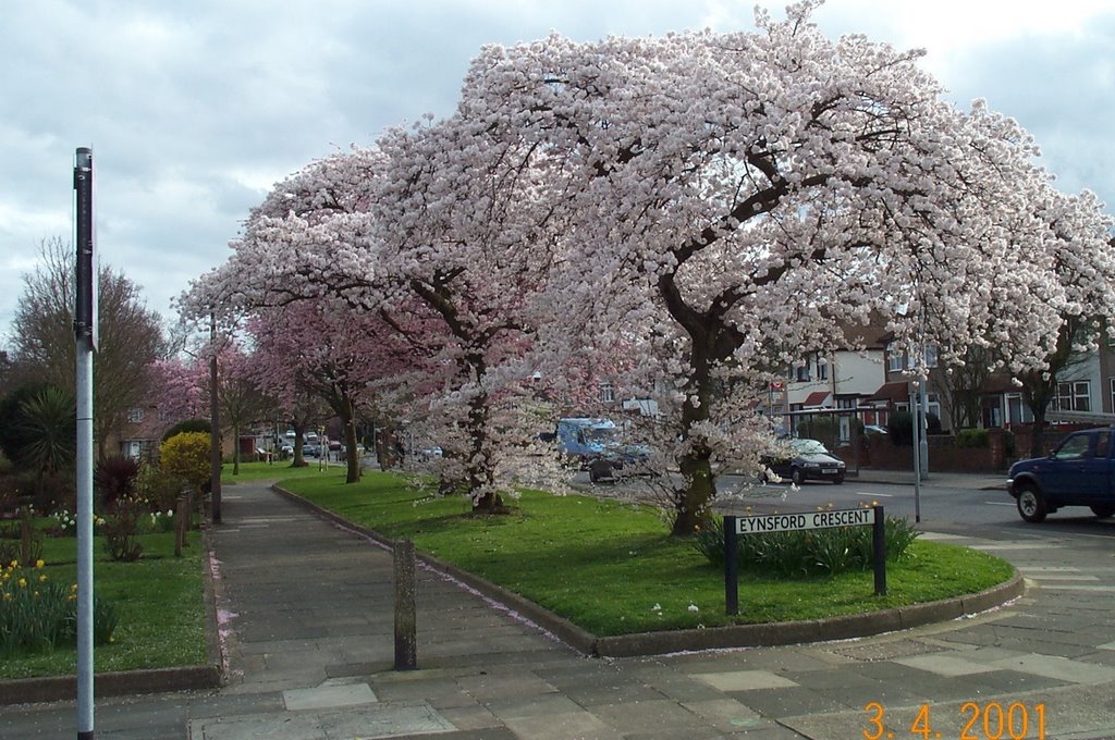 blossom
