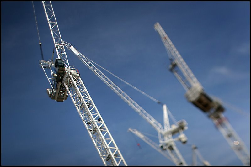 City cranes