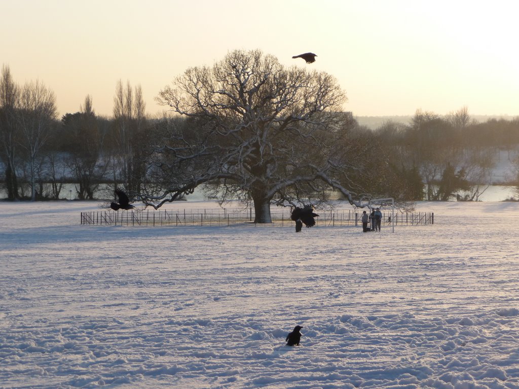 Danson Park