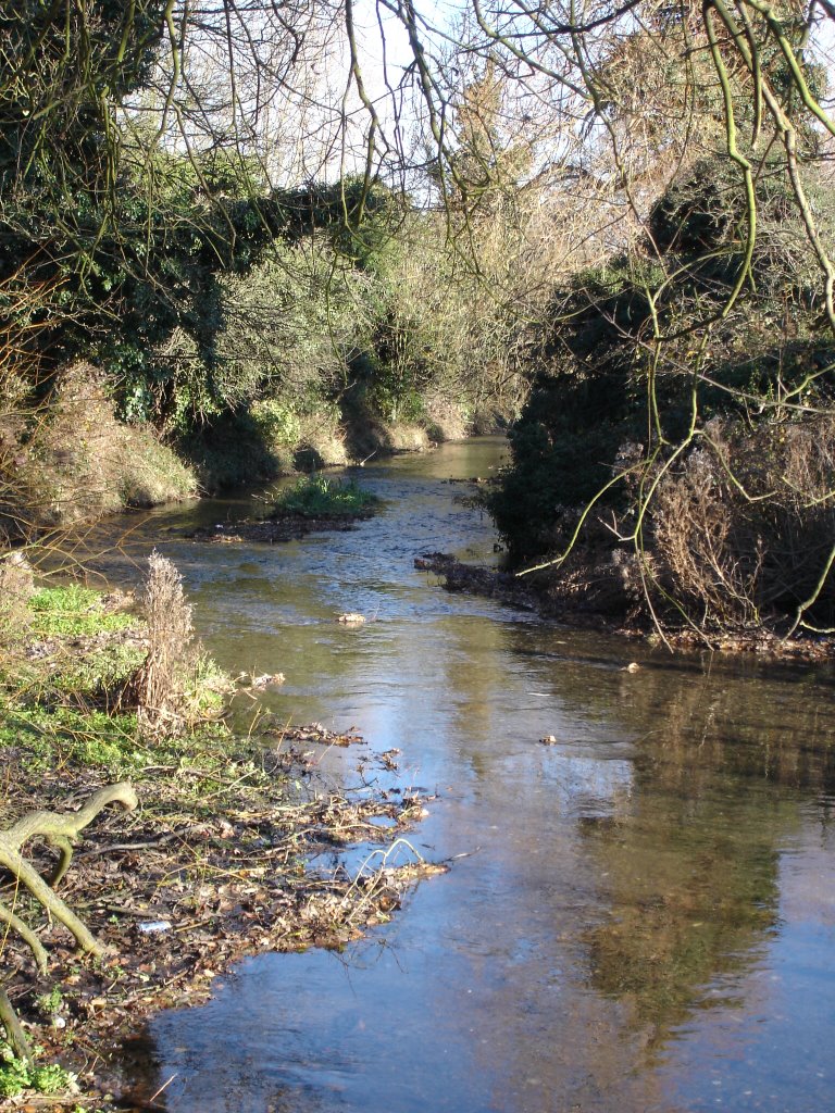 River Cray at North Cray