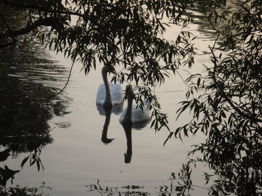Love on Danson Park Lakes