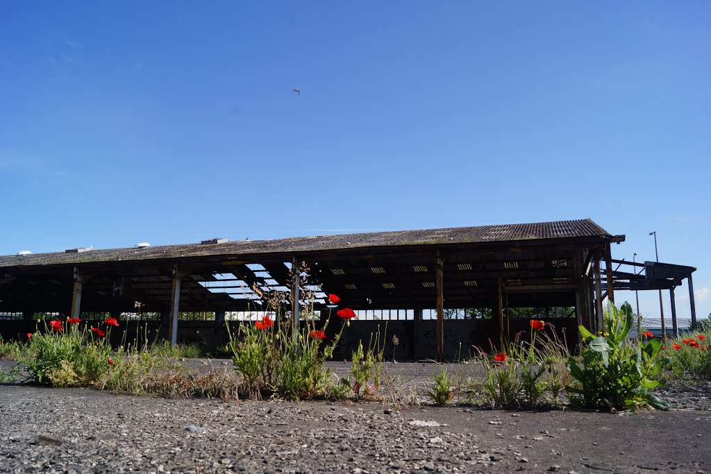 Old Warehouse