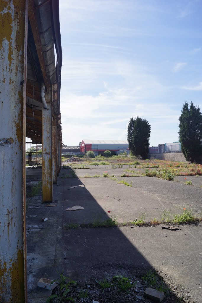 Old Warehouse