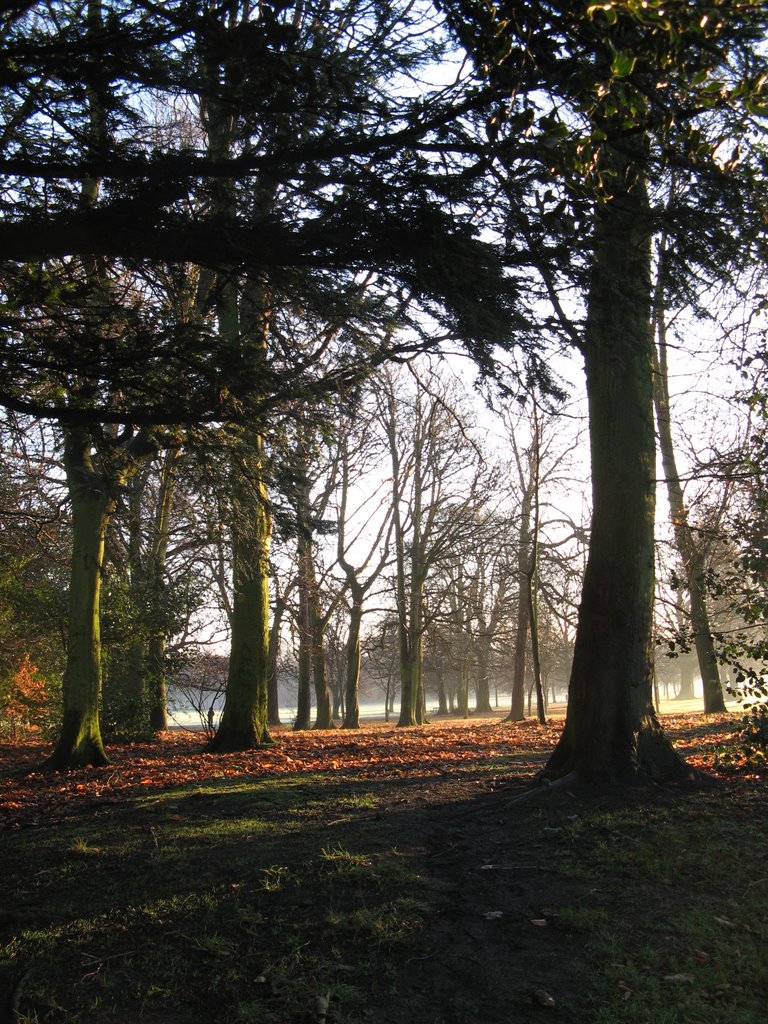 The walk to work...
