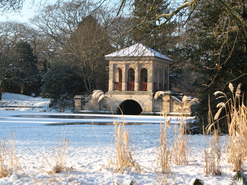 The Park in Winter