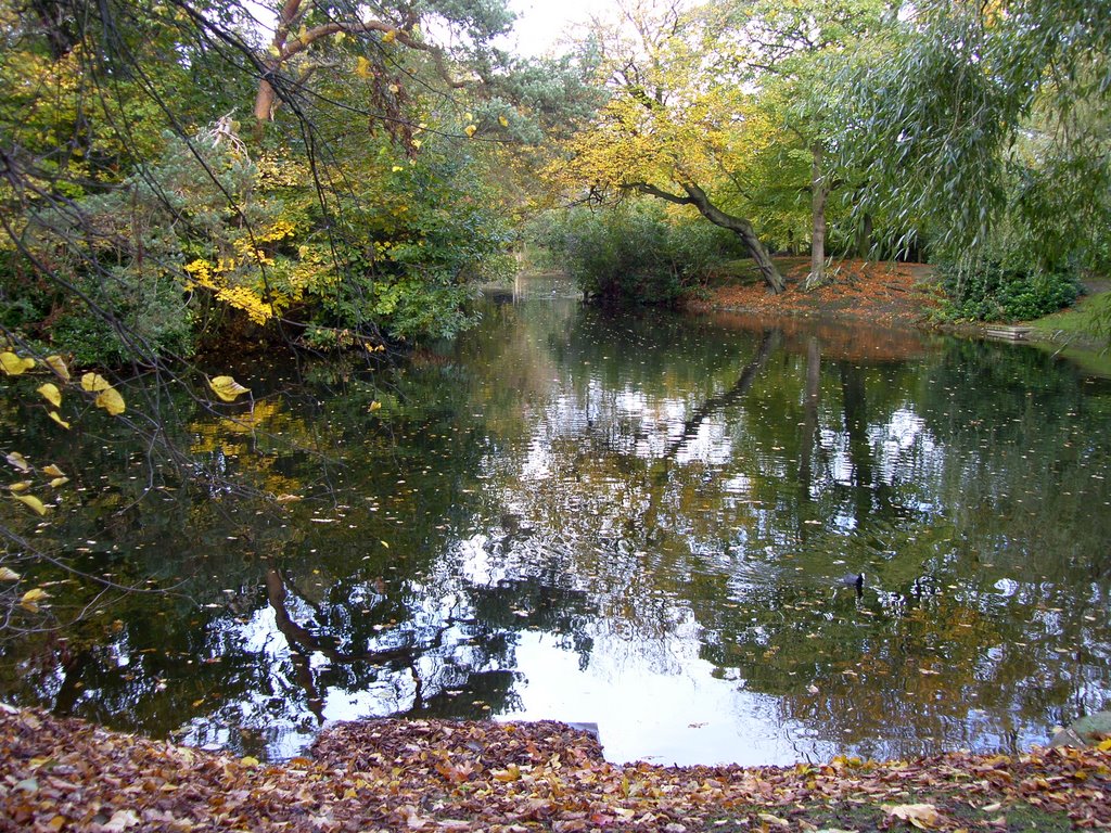 Pond, Birkenhead Park