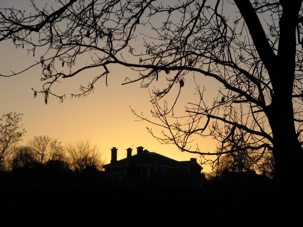 The Park at dusk