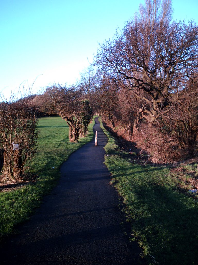 Duck Pond Lane
