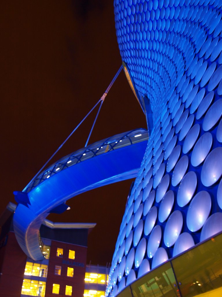 Selfridge Store (Night)