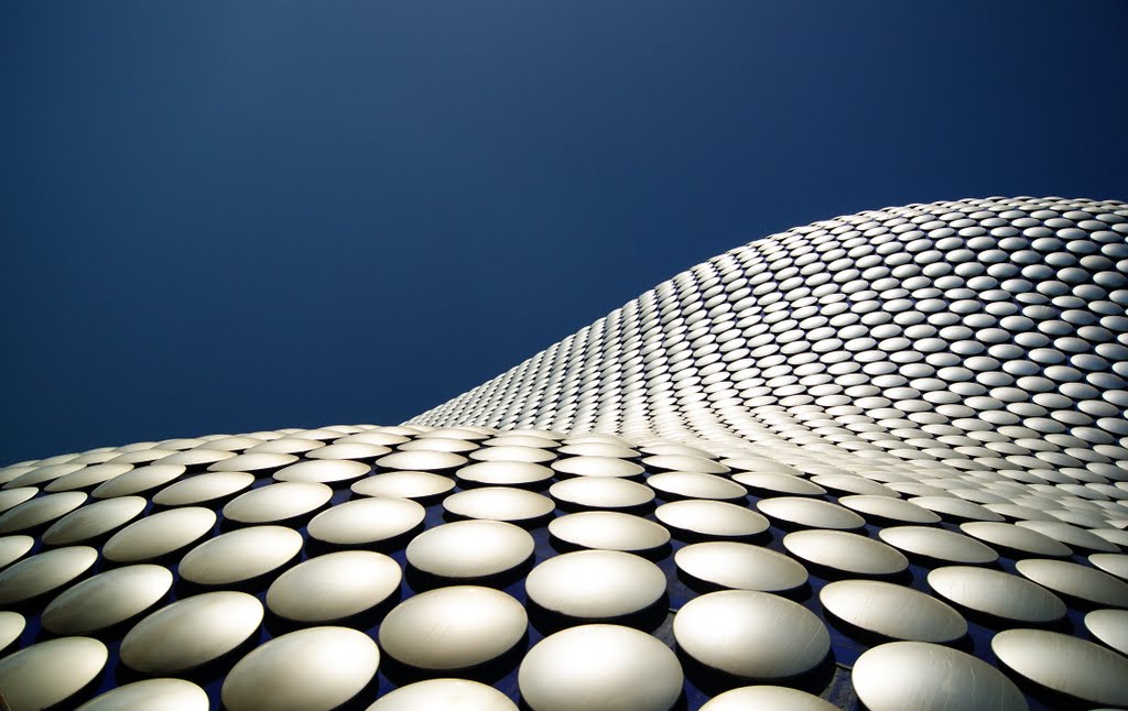 modern fish scales