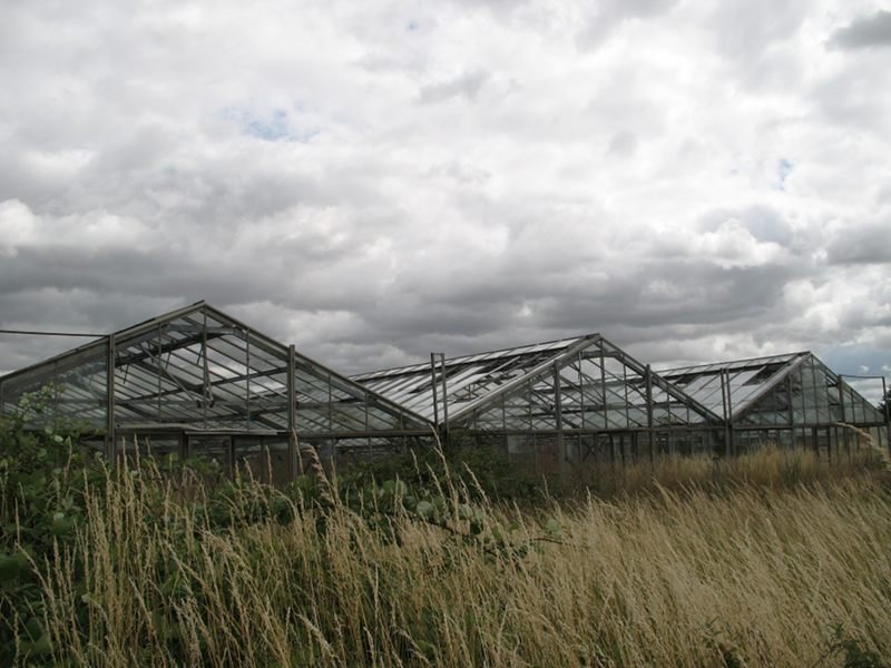 Disused greenhouses