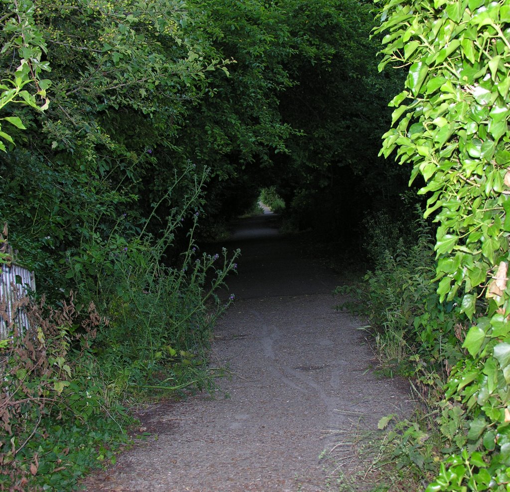 Tunnel to......?