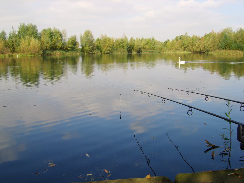 Manor Farm Fishing Lakes