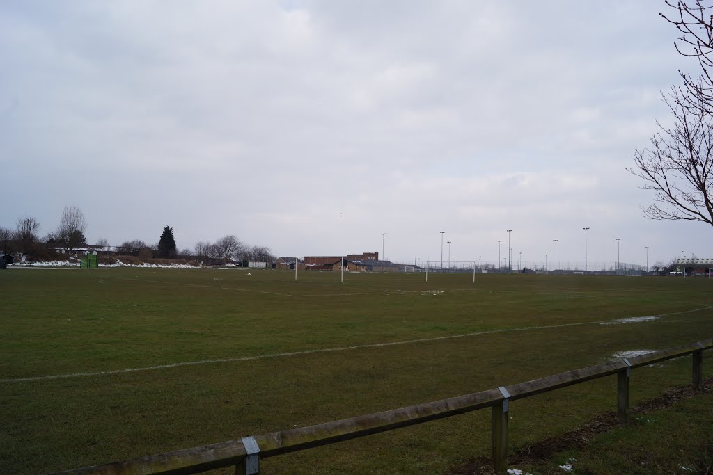 Sandy Playing Fields