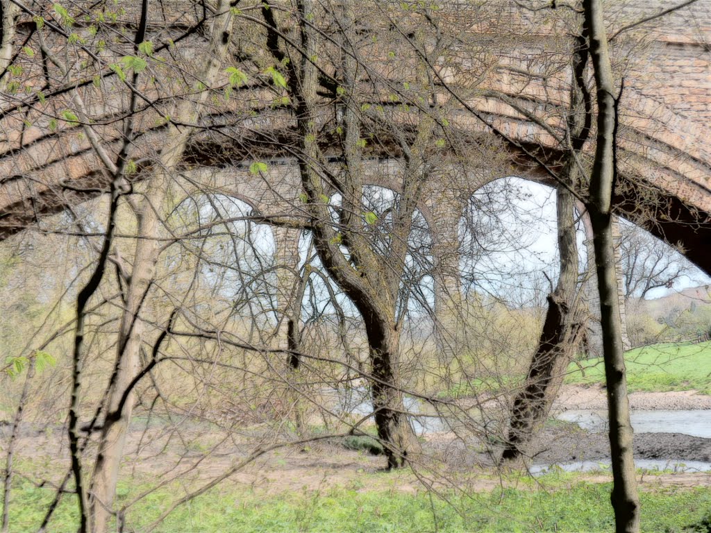 SAM_0209.JPG