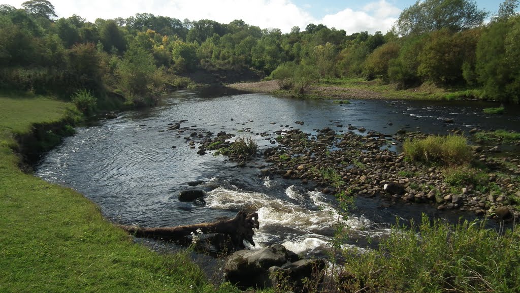 The beautiful River Wear