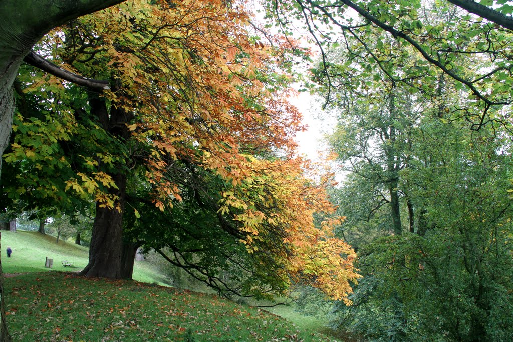 Autumn colours